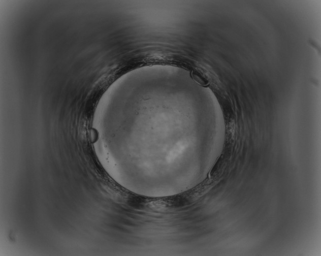 X0000093240423200710171445