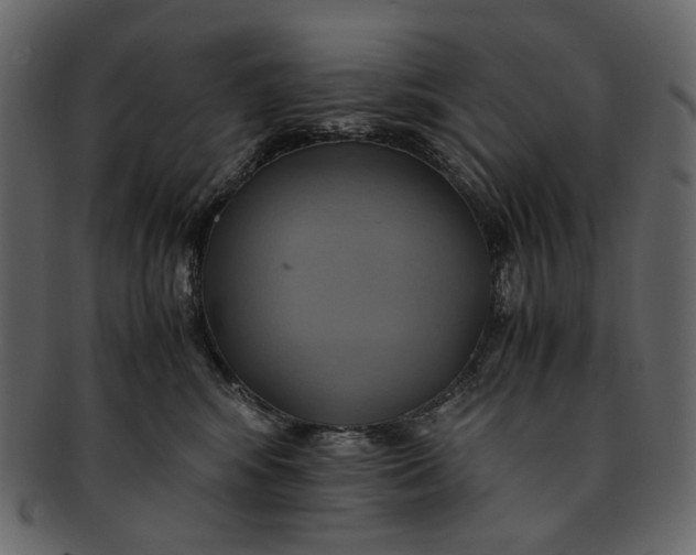 X0000093240424200710171445