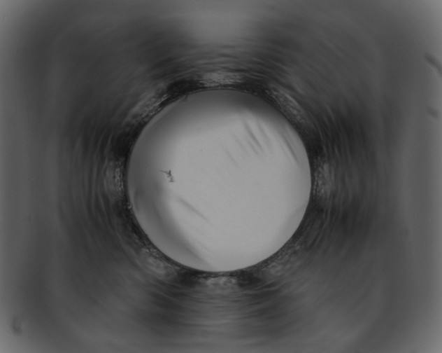 X0000093240426200710171445