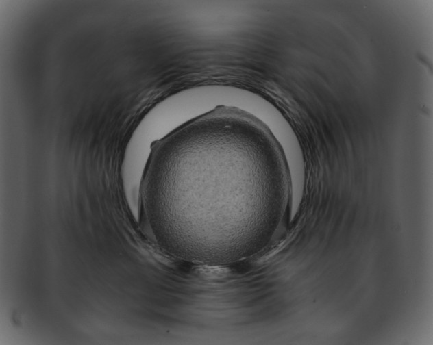 X0000093240429200710171445