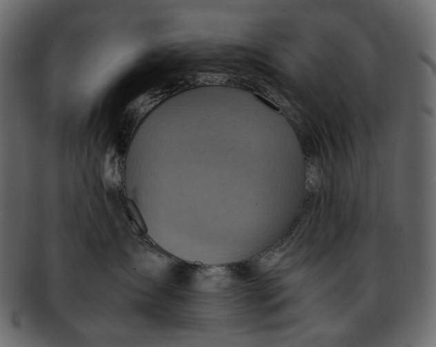 X0000093240431200710171445