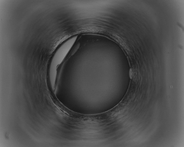 X0000093240434200710171444