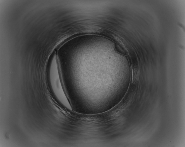 X0000093240435200710171444