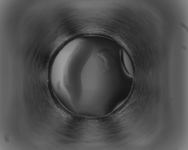 X0000093240438200710171444