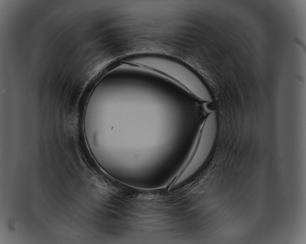 X0000093240440200710171444