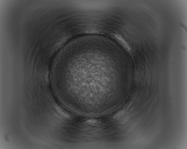 X0000093240441200710171444