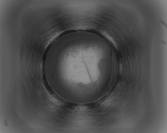 X0000093240444200710171444