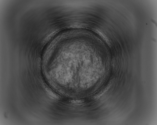 X0000093240445200710171444