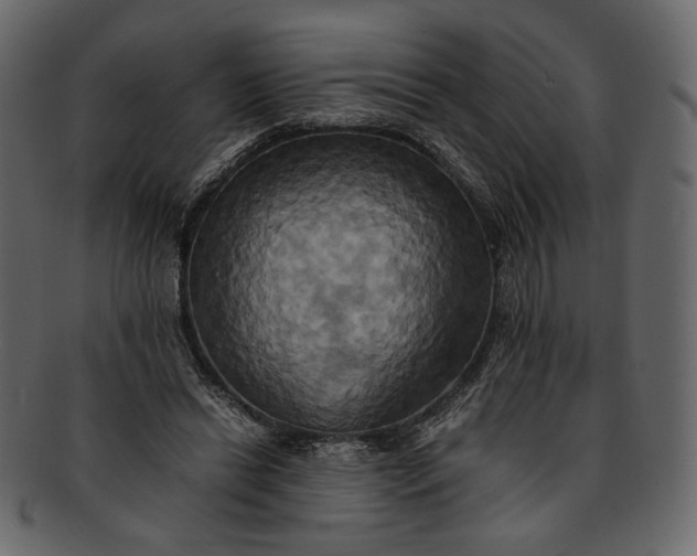 X0000093240446200710171444