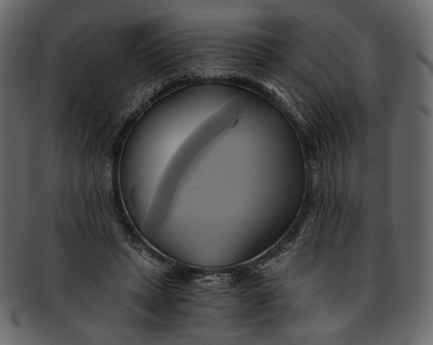 X0000093240447200710171444