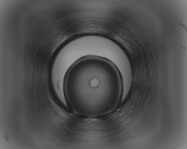 X0000093240448200710171444