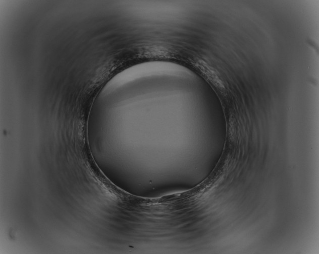 X0000093240449200710171444