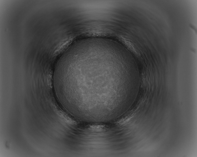 X0000093240450200710171444