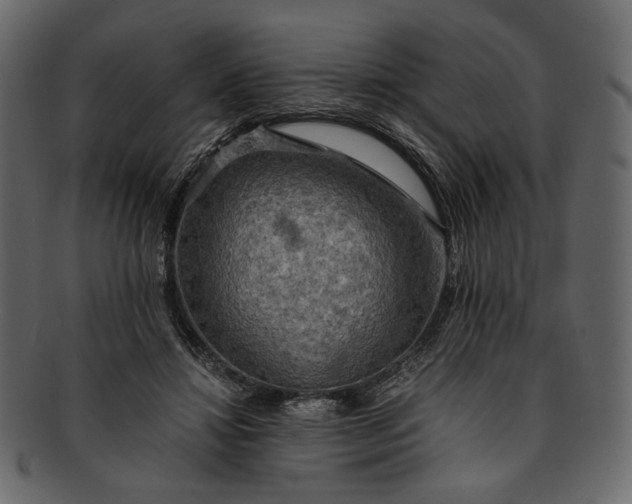 X0000093240452200710171444