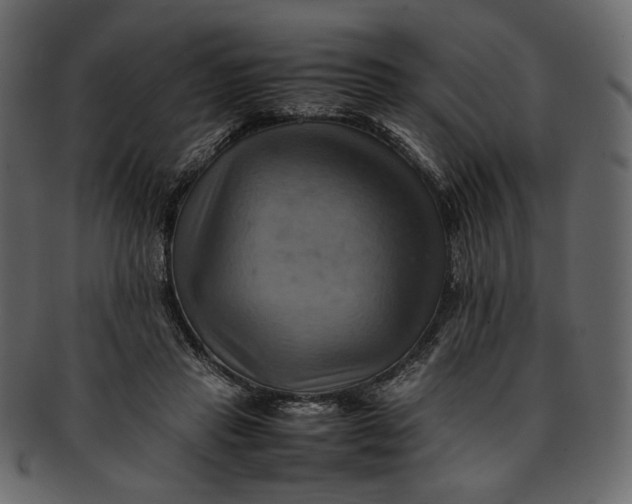 X0000093240453200710171444