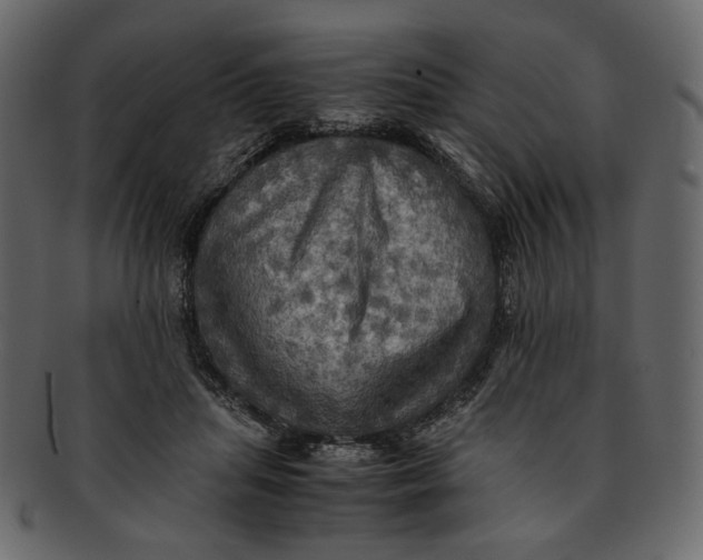 X0000093240455200710171444