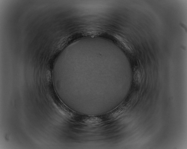 X0000093240459200710171444