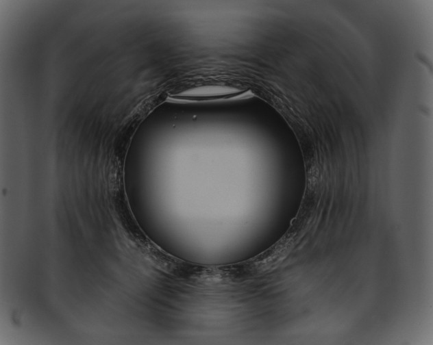 X0000093240464200710171445