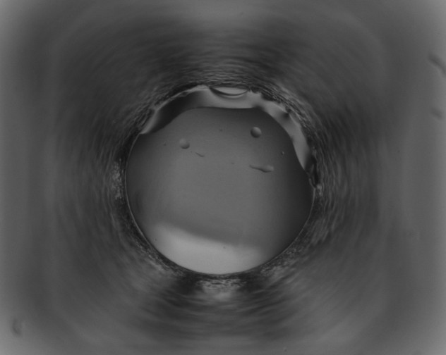 X0000093240465200710171445