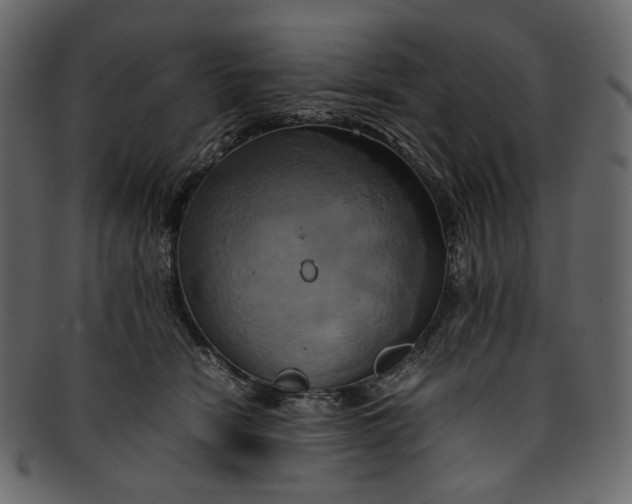 X0000093240466200710171445