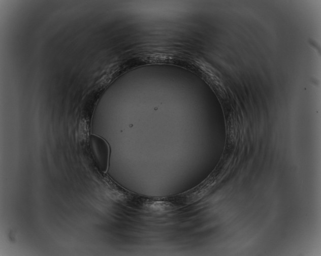 X0000093240467200710171445