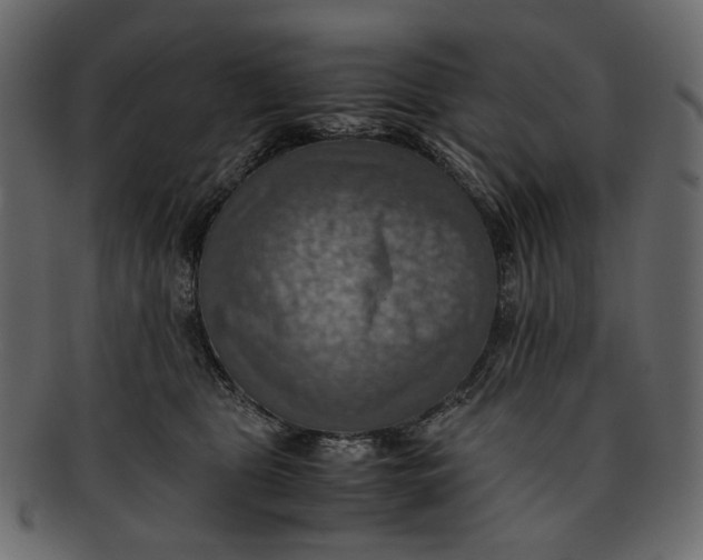 X0000093240469200710171445