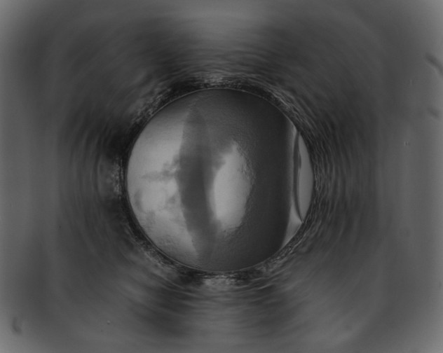 X0000093240470200710171445