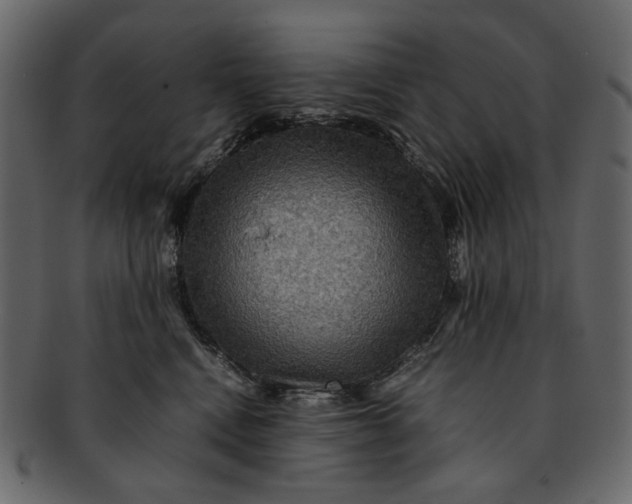 X0000093240472200710171445