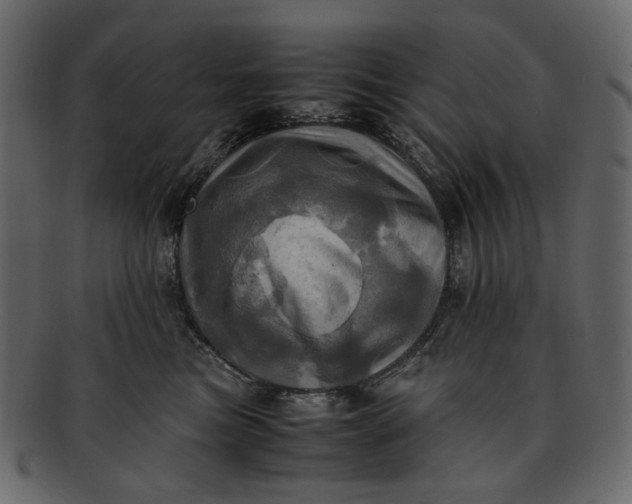 X0000093240473200710171445