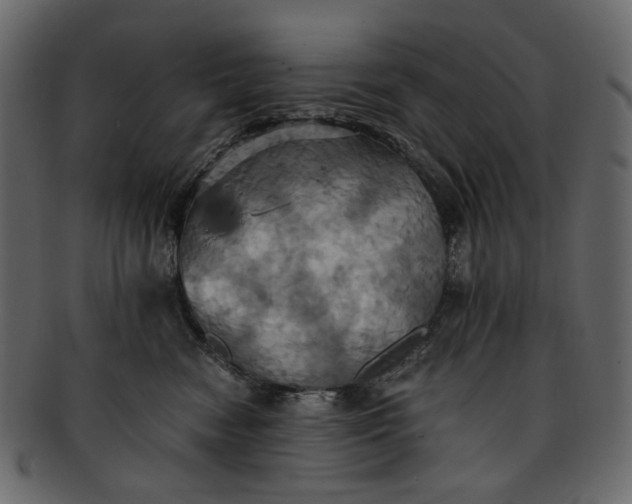 X0000093240474200710171445