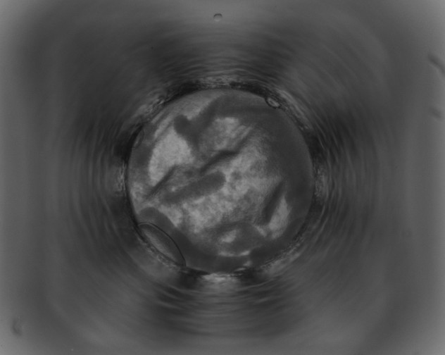 X0000093240477200710171445