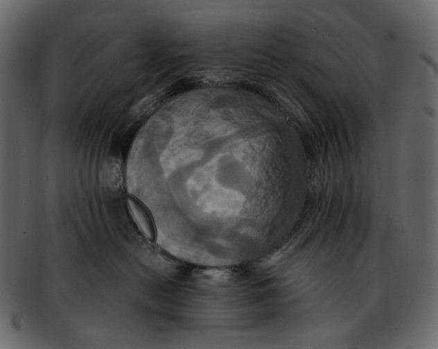 X0000093240478200710171445