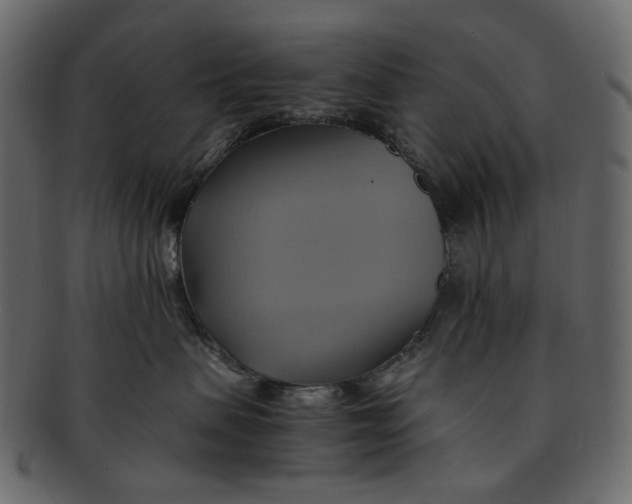 X0000093240479200710171445