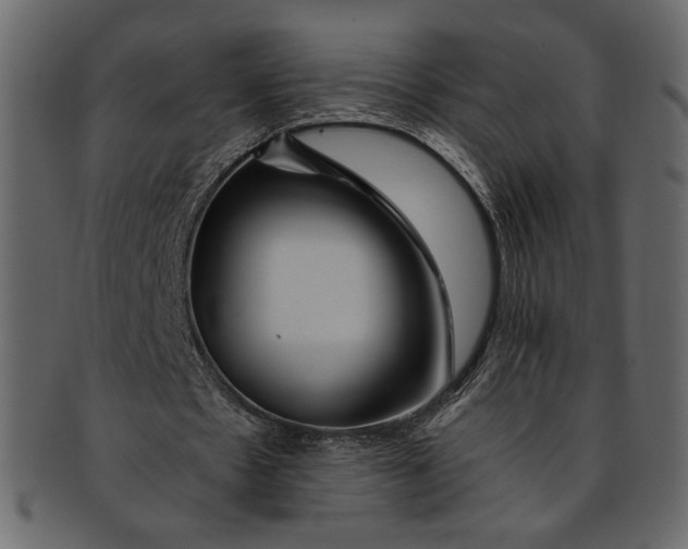 X0000093240481200710171444