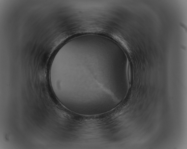 X0000093240483200710171444