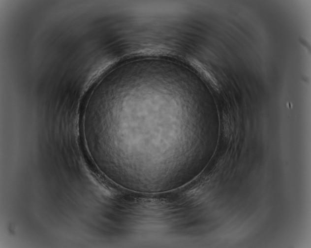 X0000093240486200710171444