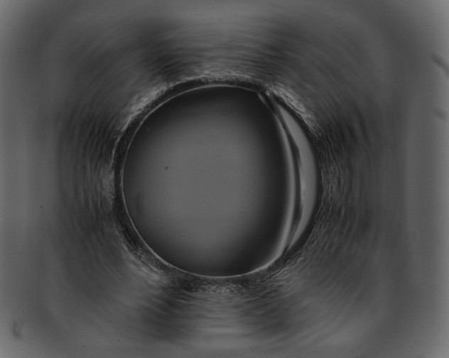 X0000093240488200710171444