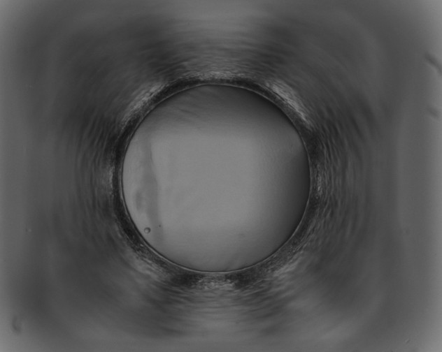 X0000093240491200710171444