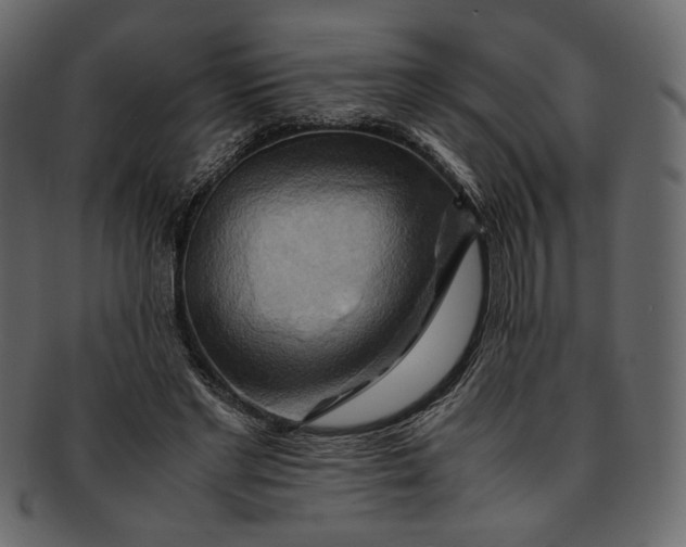 X0000093240493200710171444