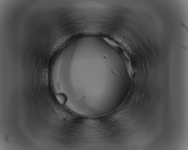 X0000093240494200710171444