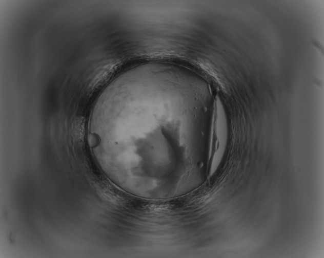 X0000093240495200710171444