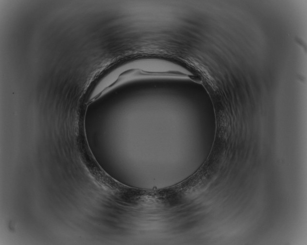 X0000093240496200710171444