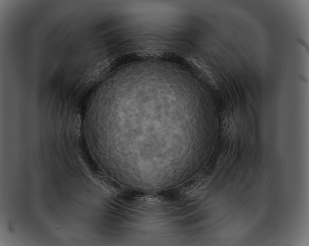 X0000093240498200710171444