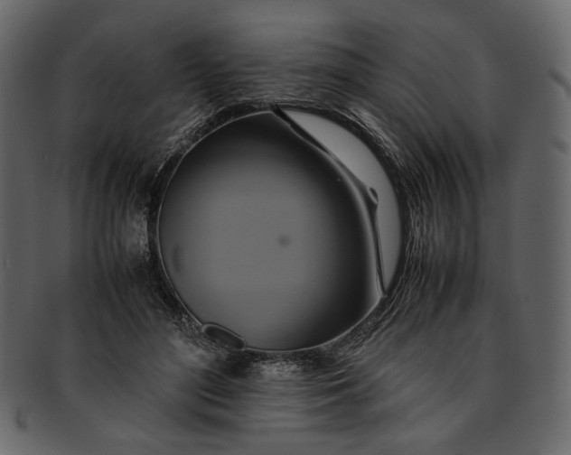 X0000093240500200710171444