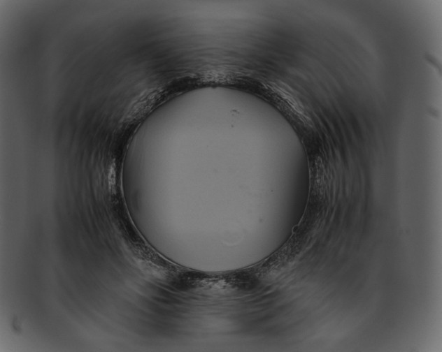 X0000093240502200710171444