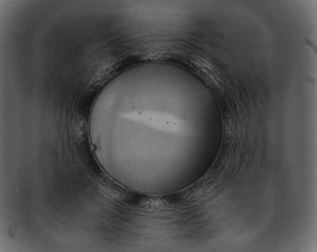 X0000093240503200710171444