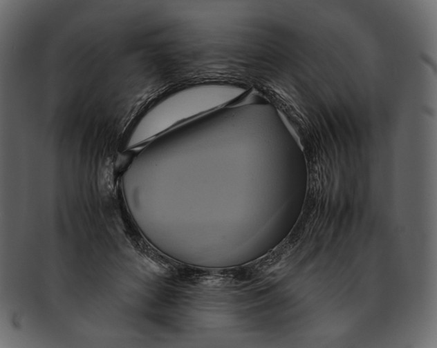 X0000093240504200710171444