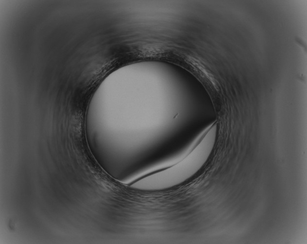 X0000093240505200710171444