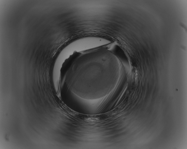 X0000093240508200710171444