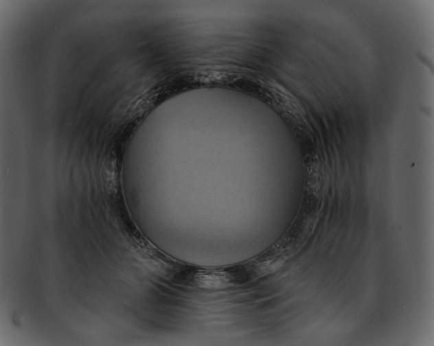 X0000093240510200710171444